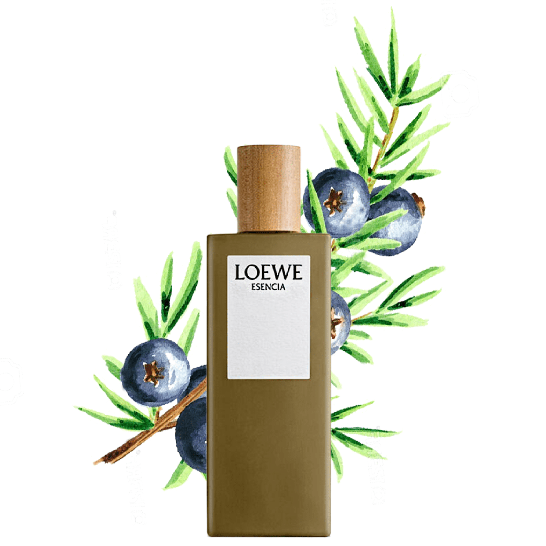 لوي ESENCIA للرجال - عطر دو توالت ١٠٠ مل Secondary image