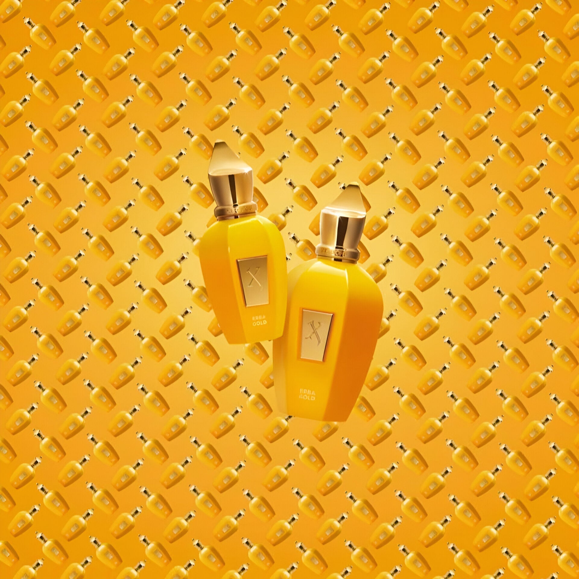 XERJOFF ERBA GOLD UNISEX EDP 100ML Secondary image